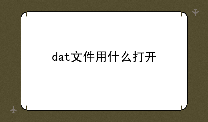 dat文件用什么打开