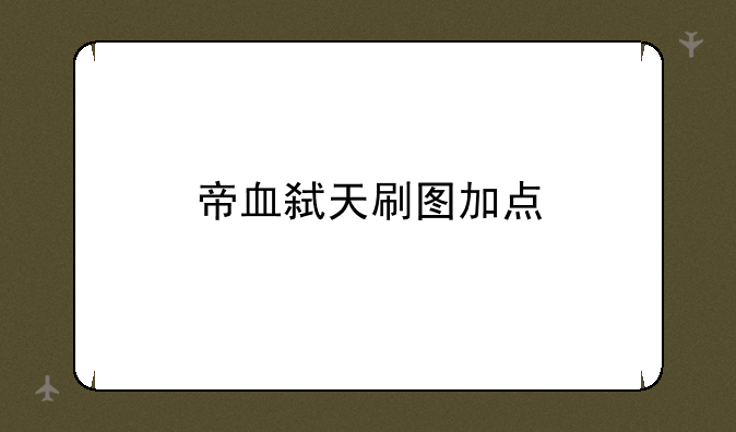 帝血弑天刷图加点