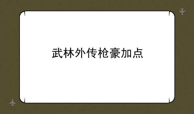 武林外传枪豪加点