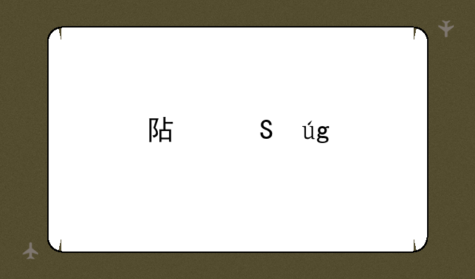 阿尔龙剑影中文版