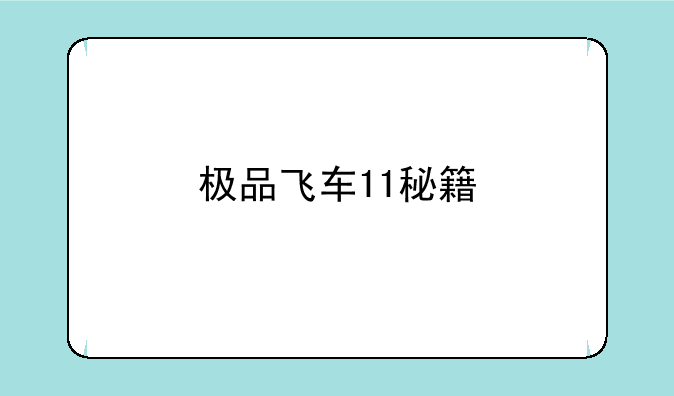 极品飞车11秘籍