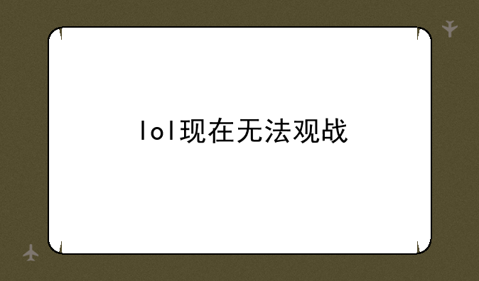 lol现在无法观战