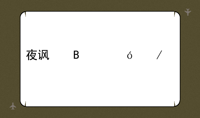 夜访吸血鬼下载