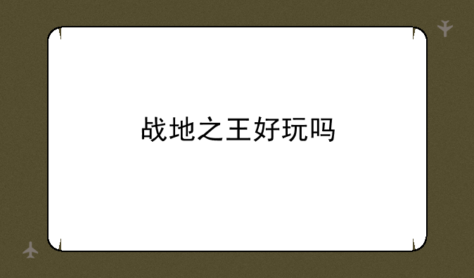 战地之王好玩吗