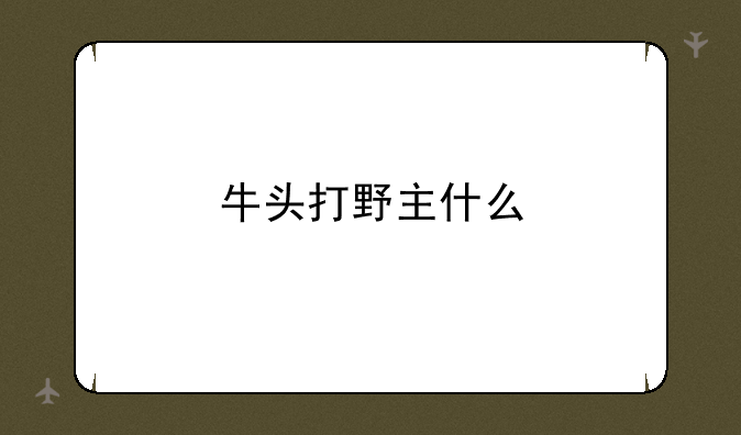牛头打野主什么