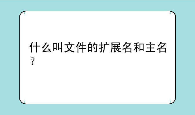 什么叫文件的扩展名和主名？