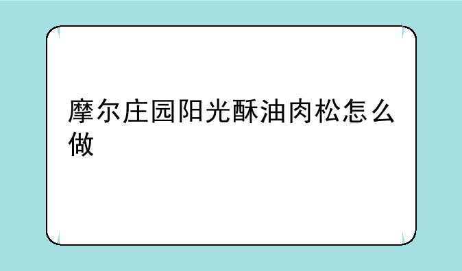 摩尔庄园阳光酥油肉松怎么做