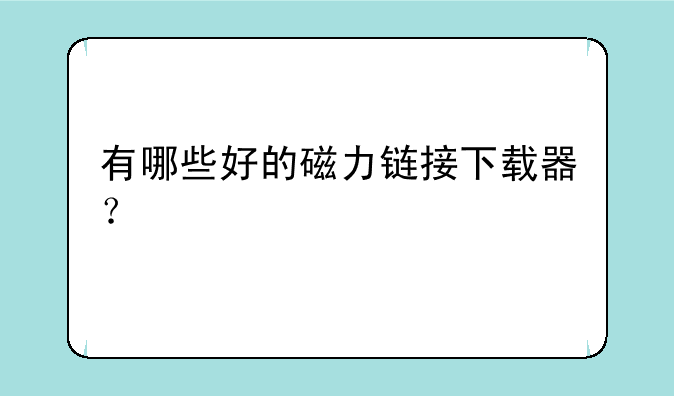 有哪些好的磁力链接下载器？