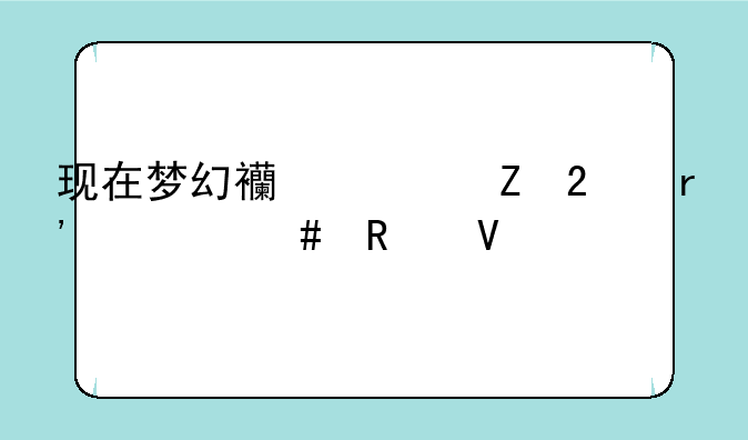 现在梦幻西游新区有什么攻略