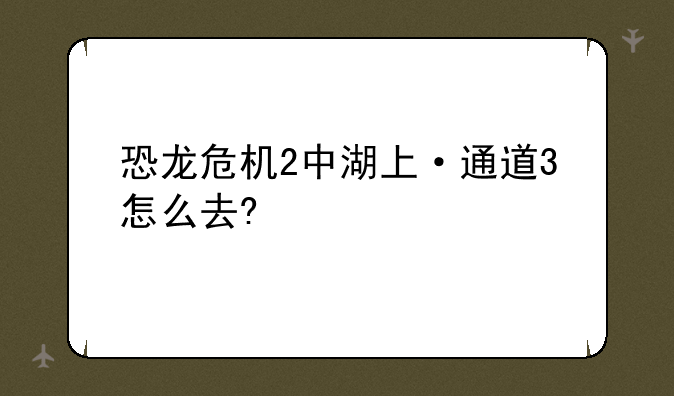 恐龙危机2中湖上·通道3怎么去?