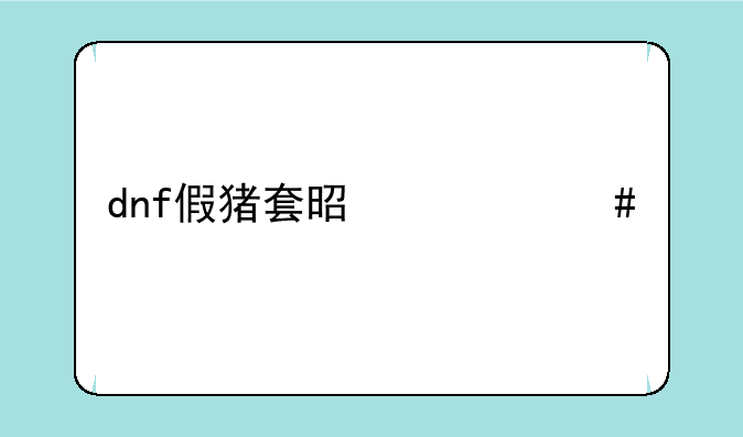 dnf假猪套是什么版本