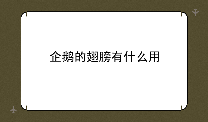 企鹅的翅膀有什么用