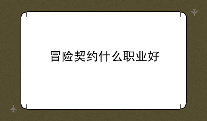 冒险契约什么职业好
