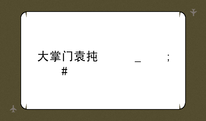 大掌门袁承志怎么样
