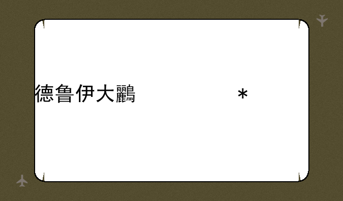 德鲁伊大鸟任务流程