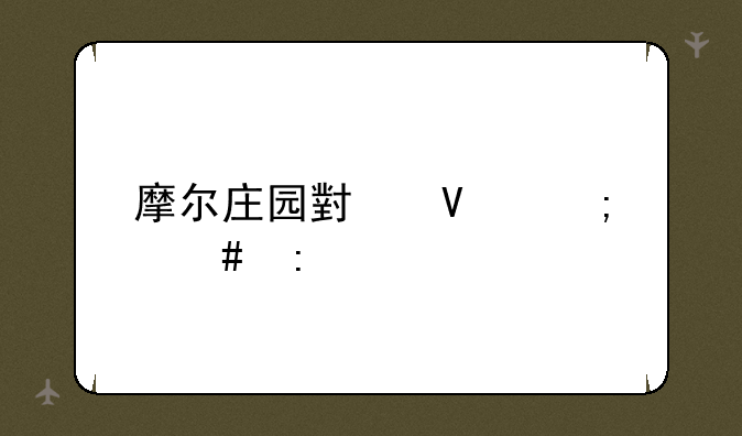 摩尔庄园小镇怎么去