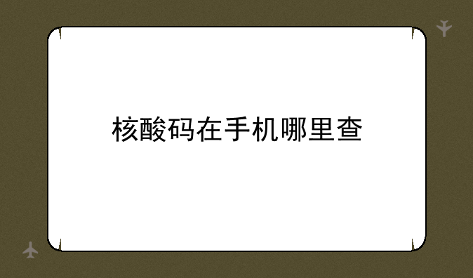 核酸码在手机哪里查