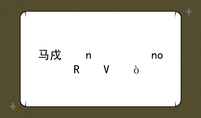 马戏团第四关攻略？