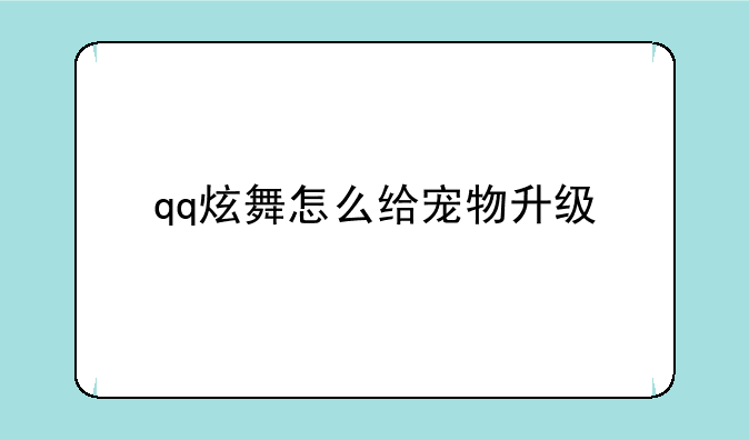 qq炫舞怎么给宠物升级
