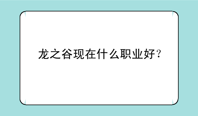 龙之谷现在什么职业好？