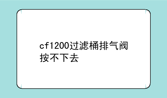 cf1200过滤桶排气阀按不下去