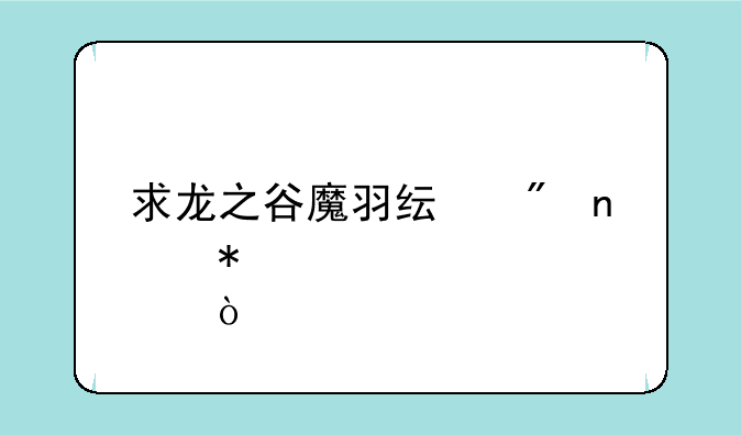 求龙之谷魔羽纯刷图加点！