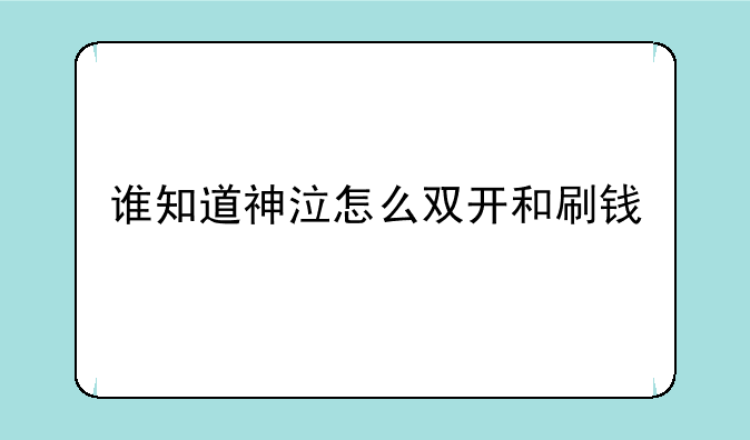 谁知道神泣怎么双开和刷钱