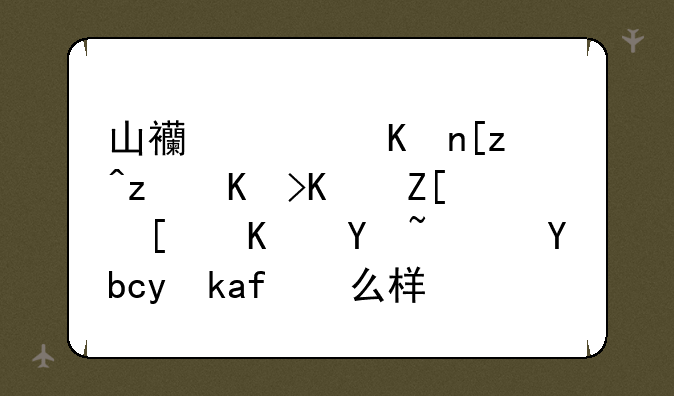 山西软件工程专业好就业吗？前景怎么样？