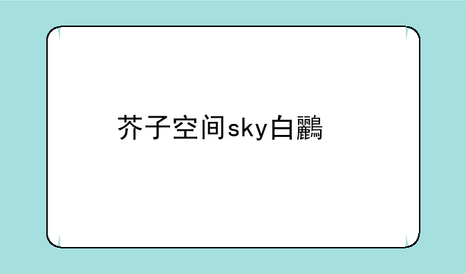 芥子空间sky白鸟版安卓游戏高速下载