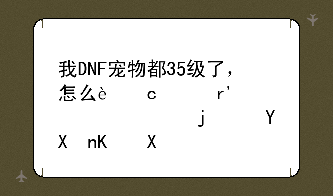 我DNF宠物都35级了，怎么还没有奥兰奶奶的进化任务？