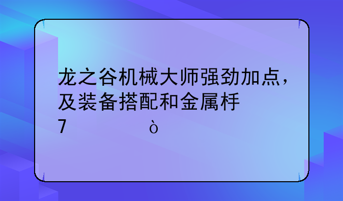 龙之谷机械大师强劲加点，及装备搭配和金属板配置？