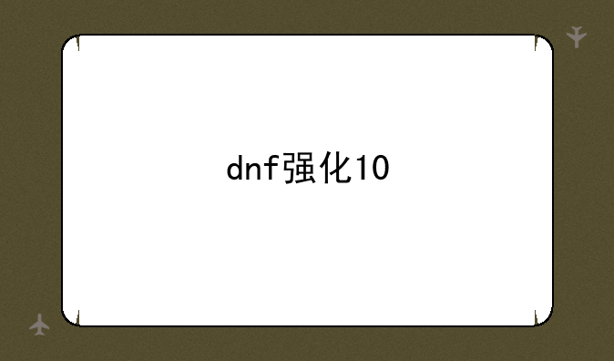 dnf强化10