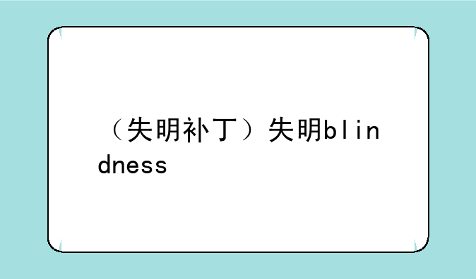 （失明补丁）失明blindness