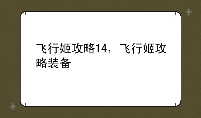 飞行姬攻略14，飞行姬攻略装备