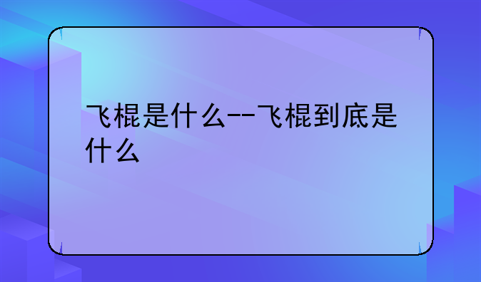 飞棍是什么--飞棍到底是什么