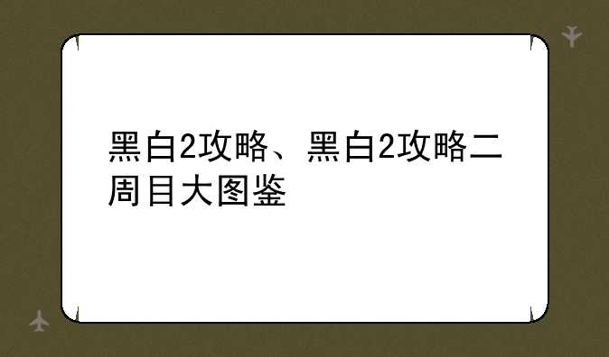 黑白2攻略、黑白2攻略二周目大图鉴
