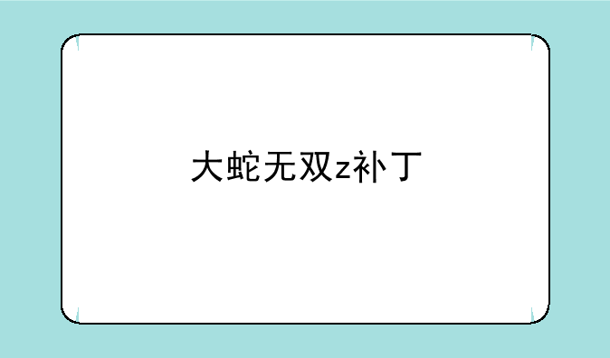 大蛇无双z补丁