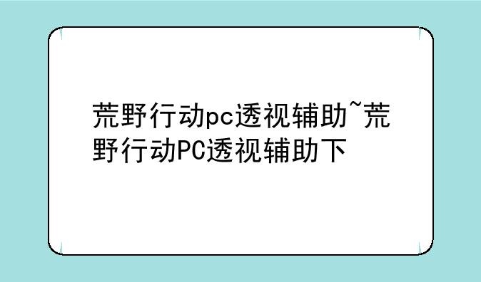 荒野行动pc透视辅助~荒野行动PC透视辅助下