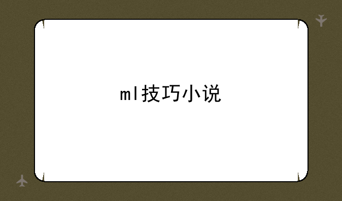 ml技巧小说